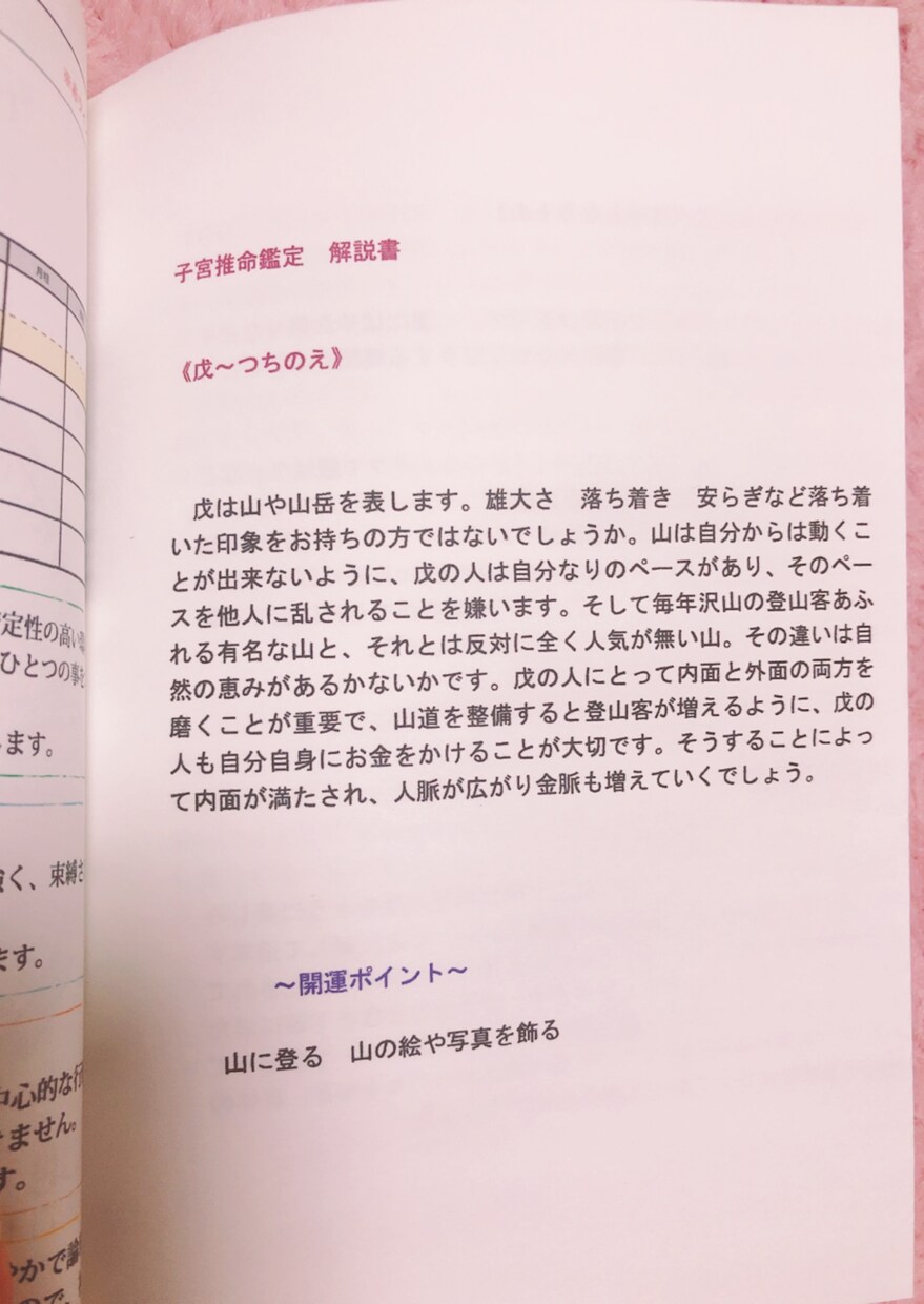 あなたの生まれ持った性格や使命、性質をお伝えします 四柱推命郵送鑑定《全体運気鑑定》 イメージ5