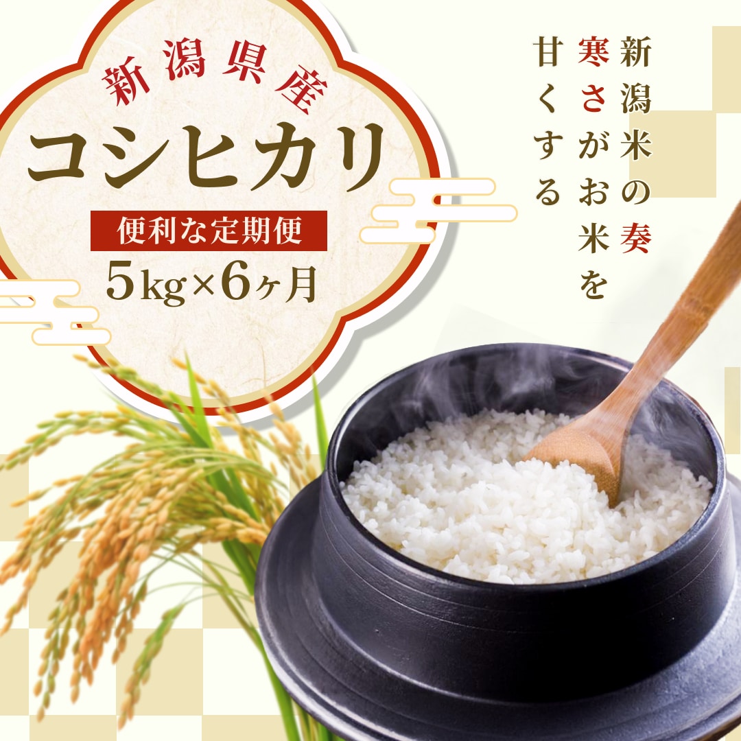10名様限定価格！集客に繋がるバナーを作成します 丁寧なヒアリングで、目を引くデザインに仕上げます イメージ5