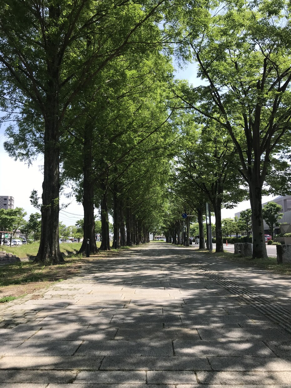 あなたに今一番必要な言葉を届けます あなたのココロを軽くして「現在」に戻します！ イメージ3