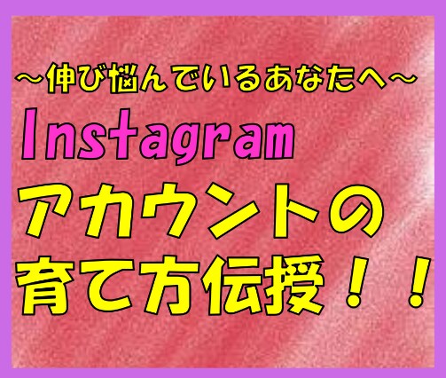 Instagramのアカウントを育てる方法教えます Instagramは基本が大事！基本的な運用を盛り込みました イメージ1