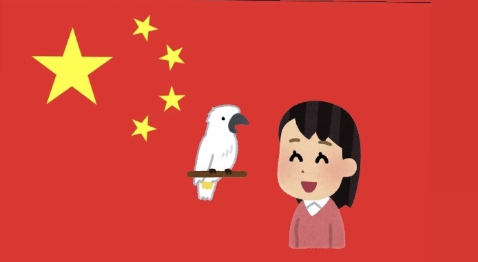 中国語発音矯正いたします 日中ハーフによる中国語の発音矯正&日常会話！ イメージ1