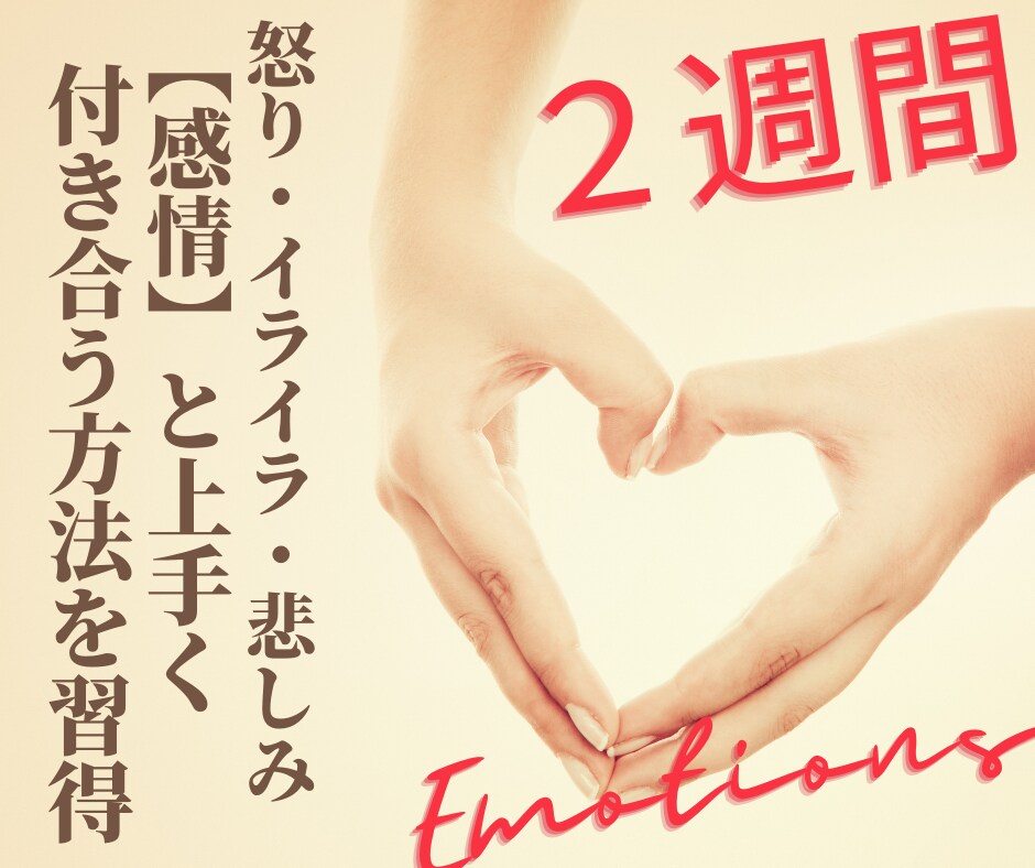 ２週間★感情整理術で自分を幸せにする方法教えます 夫婦・恋愛・人間関係のイライラ・モヤモヤを自己肯定の材料に！ イメージ4