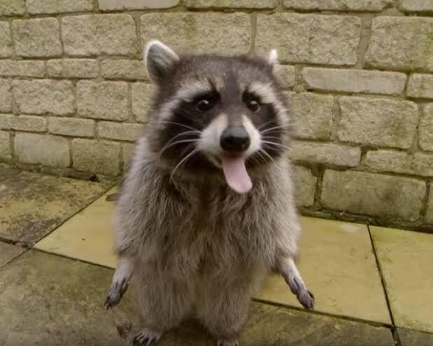 MCUの面白ろさをお伝えします MCUといわれるアメコミヒーローの実写映画の面白さを伝えます イメージ1