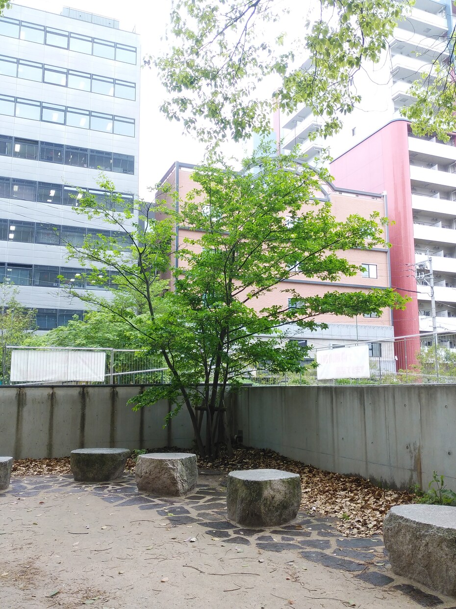 水晶を通してご相談のアドバイスをします 自然の力を借りて、少しリラックスしませんか。 イメージ2