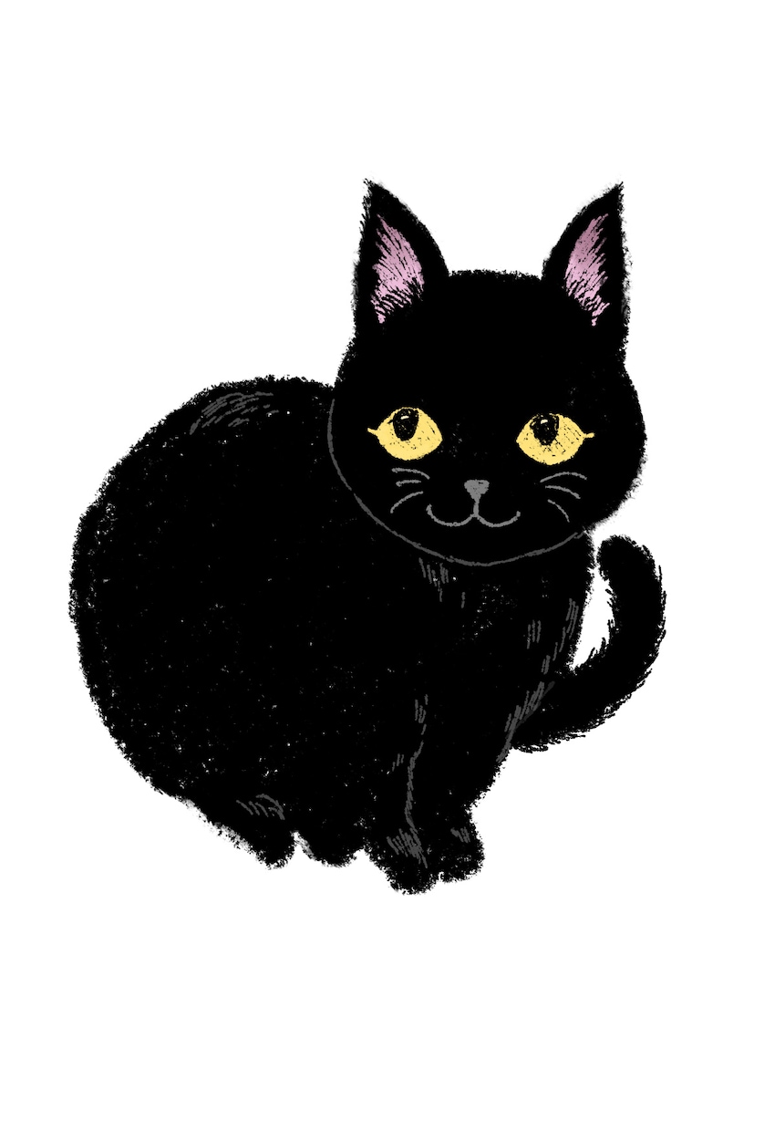 テディベアや動物を絵本のようなタッチで描きます 絵本やポスター・思い出の洋服などを暖もりタッチで描きます イメージ9