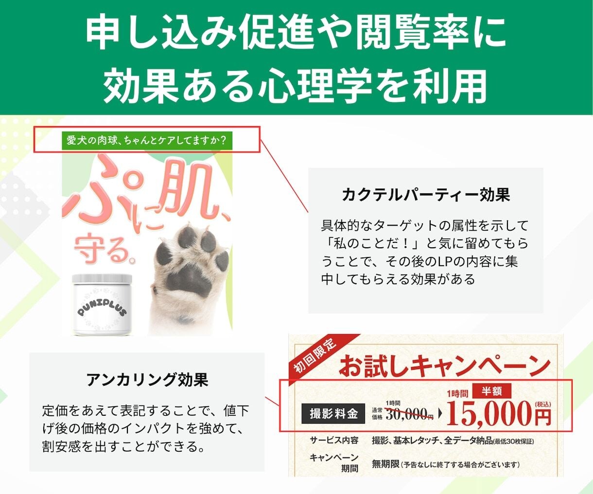 原稿サポート付きでWeb集客のLPを制作します 消費者心理学・経済行動学・ターゲットに合うLP制作で売上UP イメージ3