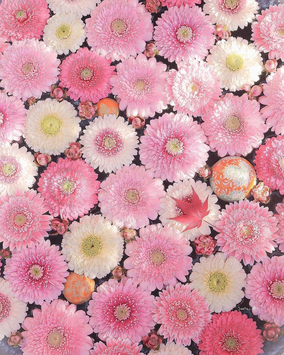 現役看護師がうつになりました。ます 1年以内に、うつから回復したいあなたへ。 イメージ3
