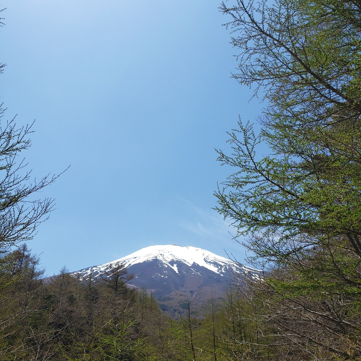 あなたの勇気ある一歩を大切にします 急ぐことなく共に歩みましょう、あなたの心が最優先です❗ イメージ2