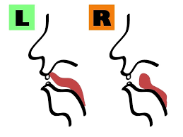もう聞き返されない！LとRの発音矯正します ハワイ大修士が言語習得の理論で教える、独自の最短改善メソッド イメージ1