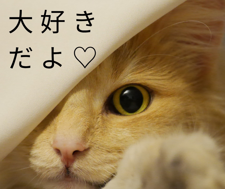 たまには甘えてみよ？泣けないあなたを甘やかします 子供みたいに甘えたい♥️フェチ/話し相手/モヤモヤ/悩み相談 イメージ6