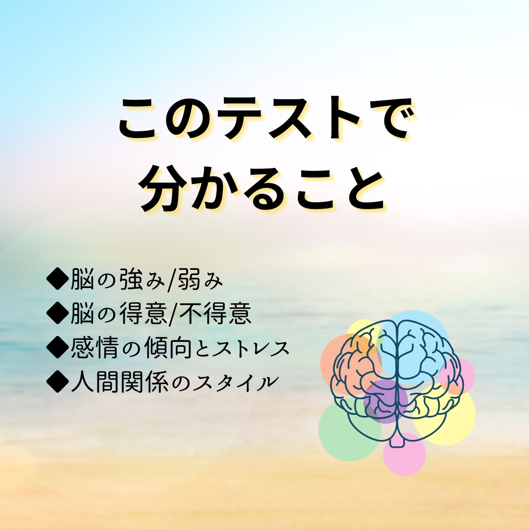 あなたの本当の「得意」を見つけます 脳科学にもとづくテストと解析であなたの脳傾向が分かります イメージ2