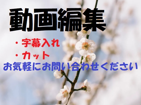 簡単編集いたします 字幕を付けるなど簡単な編集を比較的安価で行います イメージ1