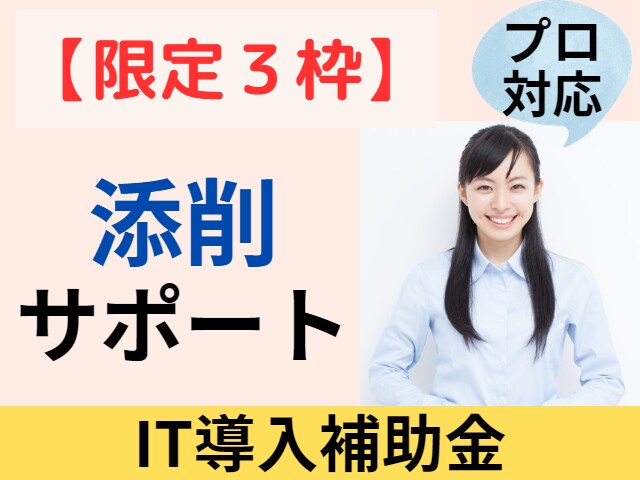 限定３枠∥IT導入補助金を診断士が【添削】します 中小企業診断士対応／事務局の専門家経験あり／支援実績多数 イメージ1