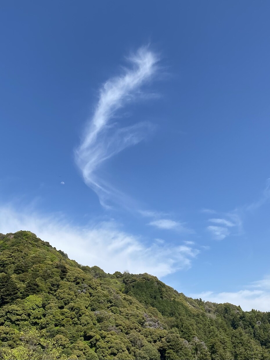 あなたの中に眠っている自然が目を覚まします 何もしなくても流れに任せていれば良いのですよ。 イメージ6