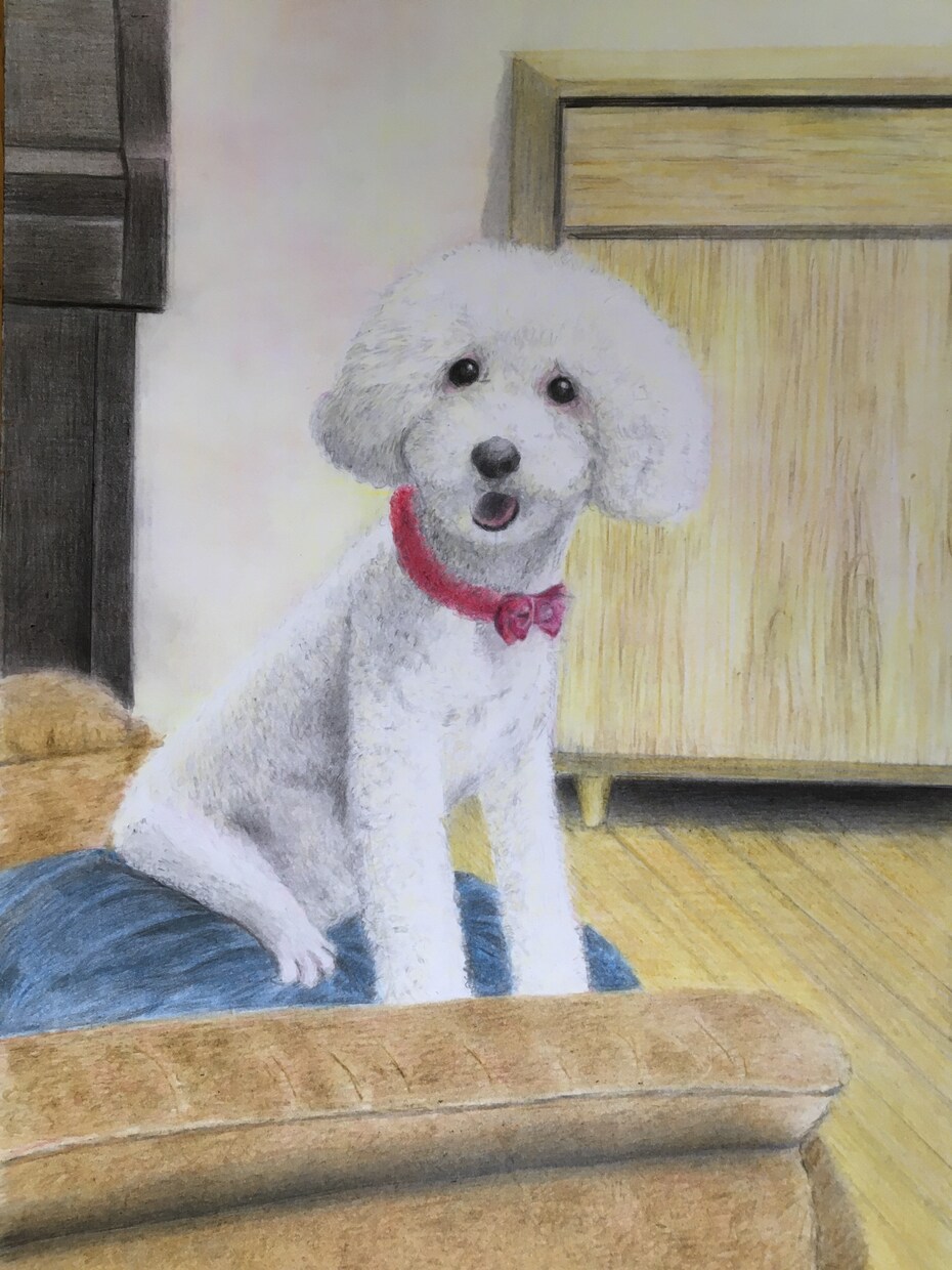 大切なペットを色鉛筆等で描かせて頂きます 可愛いペットを出来るだけ忠実に描かせて頂きます。 イメージ4