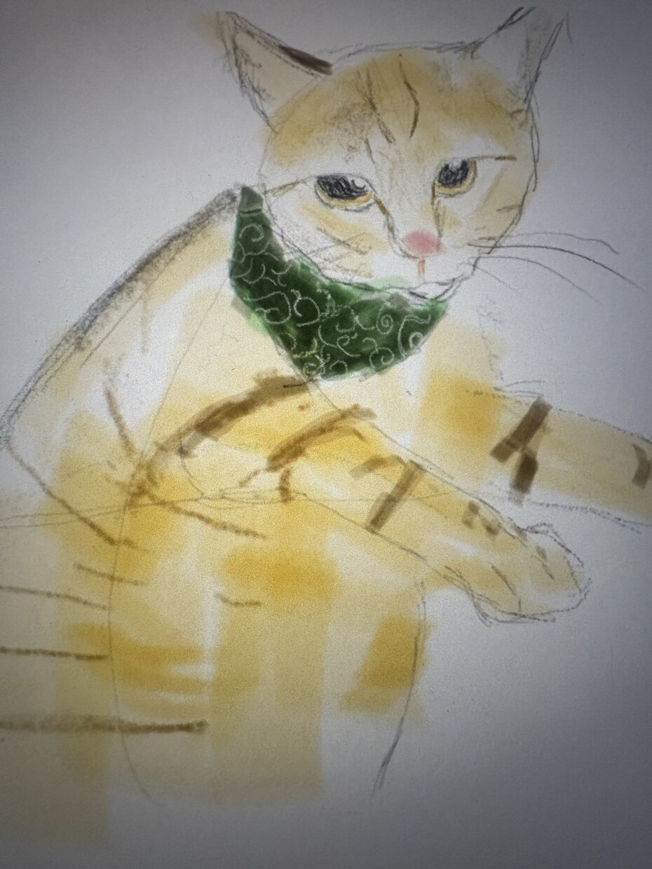 お写真をもとに猫のゆるいイラストを描きます 大切なうちの子を、温かみのある手描きイラストに イメージ2