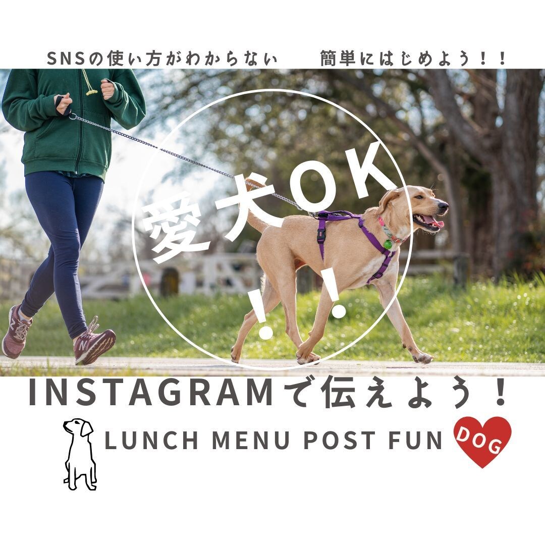 愛犬OK 飲食店募集します Instagram初心者歓迎　✴︎ 愛犬歓迎を伝えよう！ イメージ1