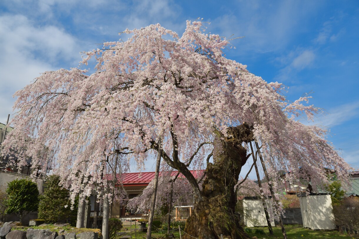 栃木(日光市)の観光・おでかけをサポートします 日光や鬼怒川の観光、旅をする方。出張やテレワークの方。 イメージ1