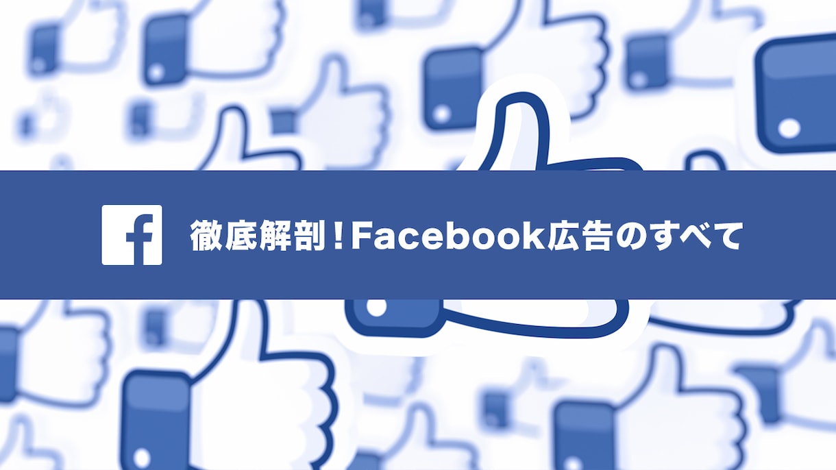 FB/IG広告運用のコンサルをします 間違っているかも？正しいSNS広告運用 イメージ1