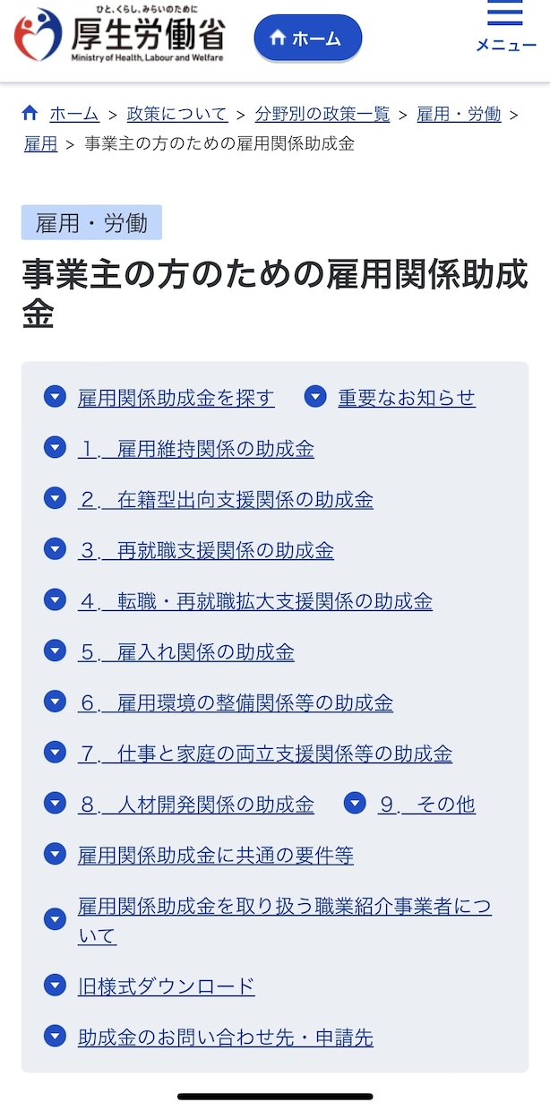 京大院修了社労士が助成金をご紹介、説明します 数々の厚生労働省管轄の助成金について、専門家が解説致します イメージ1