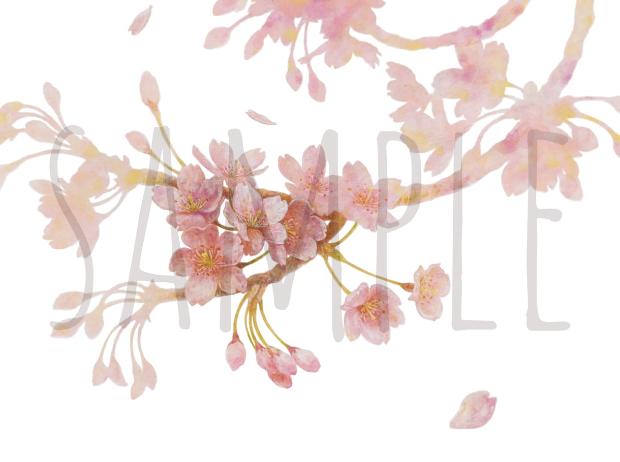 気持ちを伝える　花のイラスト制作致します 動画サムネイル・背景画像・プレゼント・用などに イメージ7