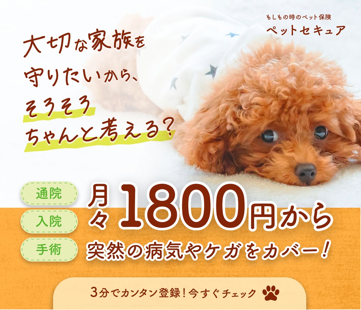 ポチらせ！クリックにつながるWEB画像制作します バナー・ヘッダー・サムネイルをお探しの方必見！ イメージ6