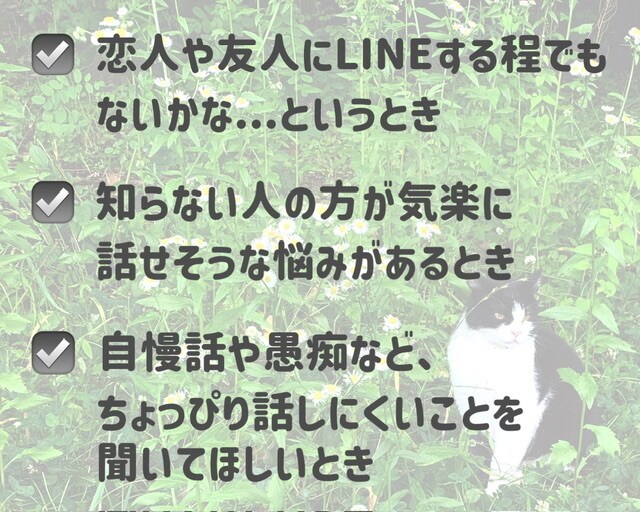 30分間あなた一人と集中してチャットします 気持ちがジメッとしたら何でも話して！ココロの湿度、調整します イメージ2