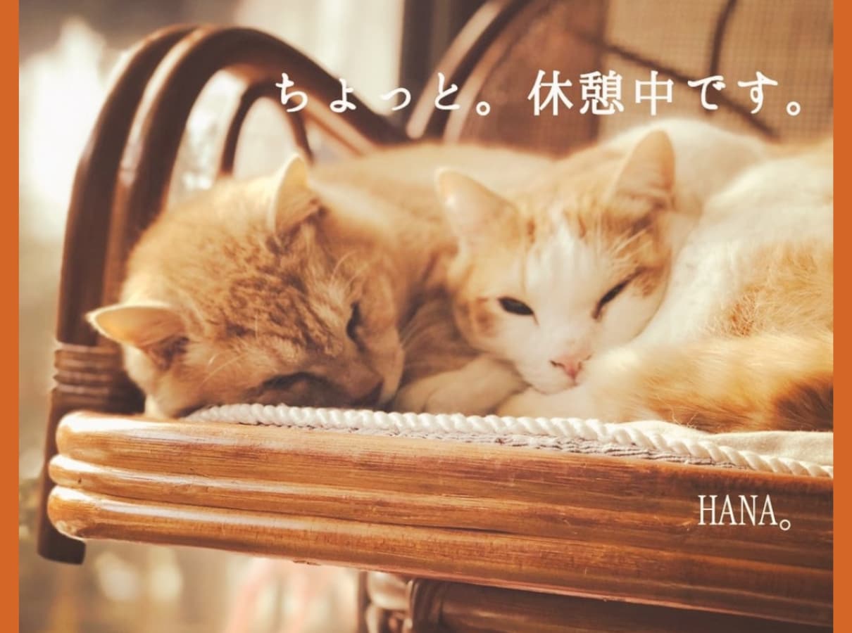 悲しかったお話。苦しかったお話。真剣に受け止めます 悲しかったお話。苦しかったお話。偏見なくお聴き致します。 イメージ3