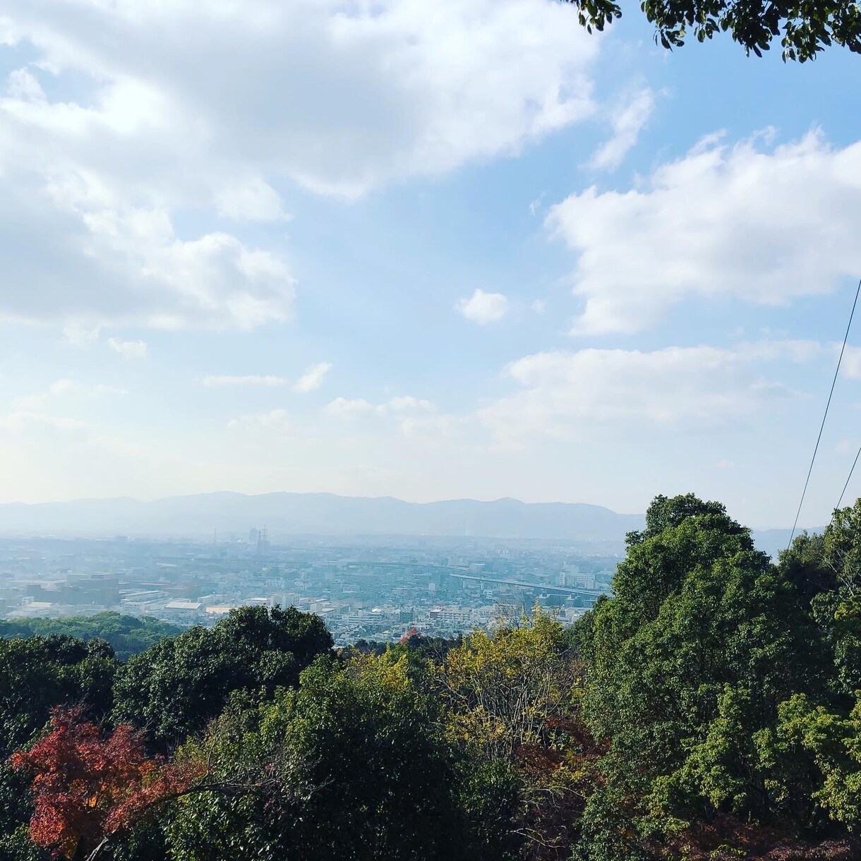 スケジュール管理方法をお教えします あなたの時間を有効活用出来るスケジュール帳を個別に作成します イメージ1
