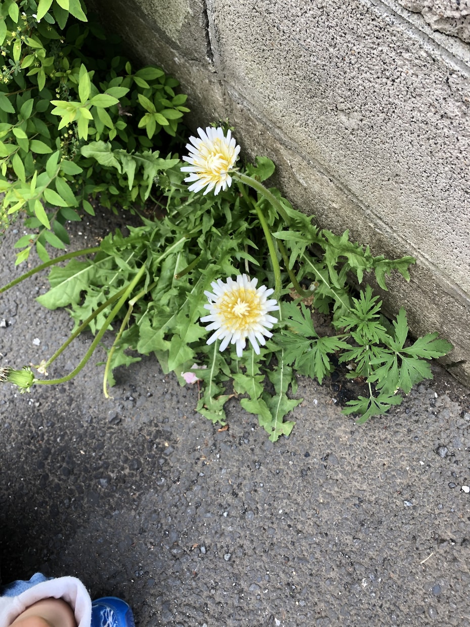 早産で産まれたお子様の育児についてお話聞きます まわりに話しにくい、でも誰かと話したい…そんな方へ☆ イメージ1