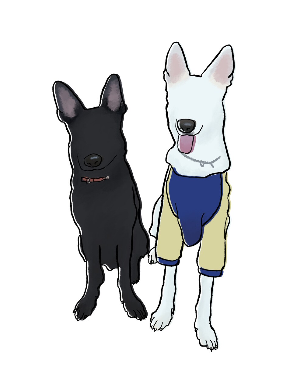愛犬、愛猫の似顔絵オシャレイラストを描いています 大切な愛犬愛猫のイラスト⭐︎自分用やプレゼントにも最適です♪ イメージ3