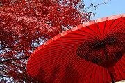 私って都合のいい女?テキストのやりとりで解決します 真剣な恋も遊びも経験豊富なぼくに気持ちをぶつけてください! イメージ10