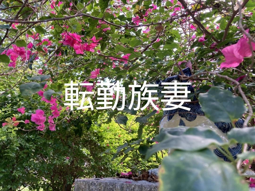 転勤族妻の乗り越え方を教えます 転勤族の妻で頑張っている方、困っていることはありませんか？ イメージ1
