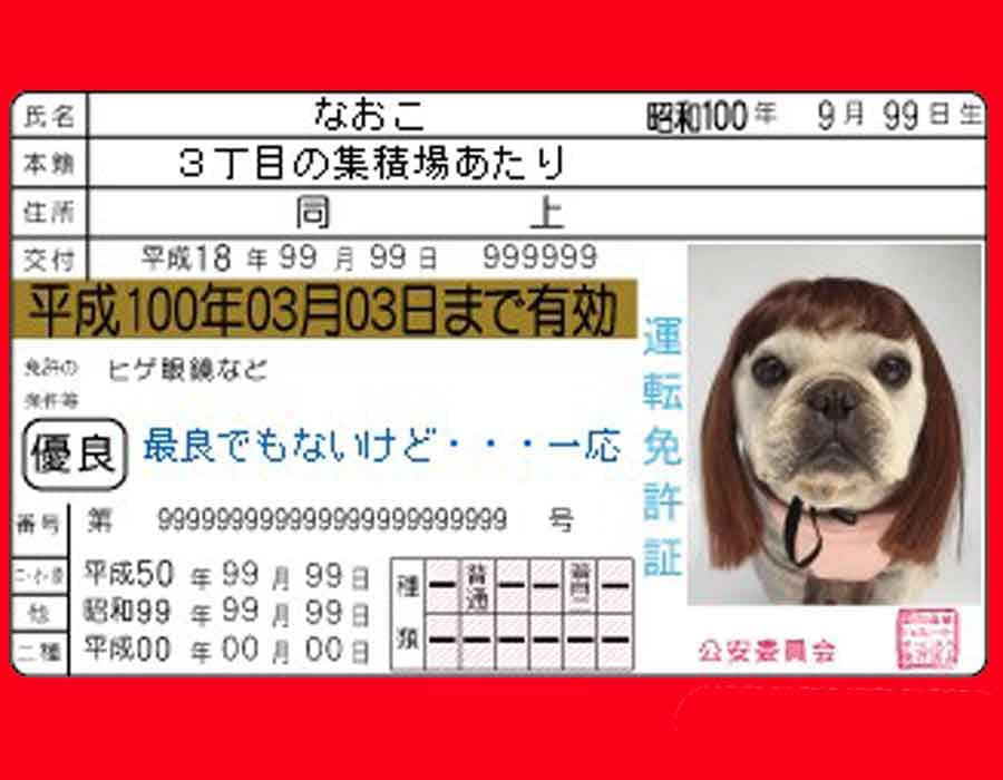 えっ？！と２度見される合成画像！羨ましがられます スマホ、ブログの画像でまわりの笑いがとれる合成画像作ります。 イメージ1