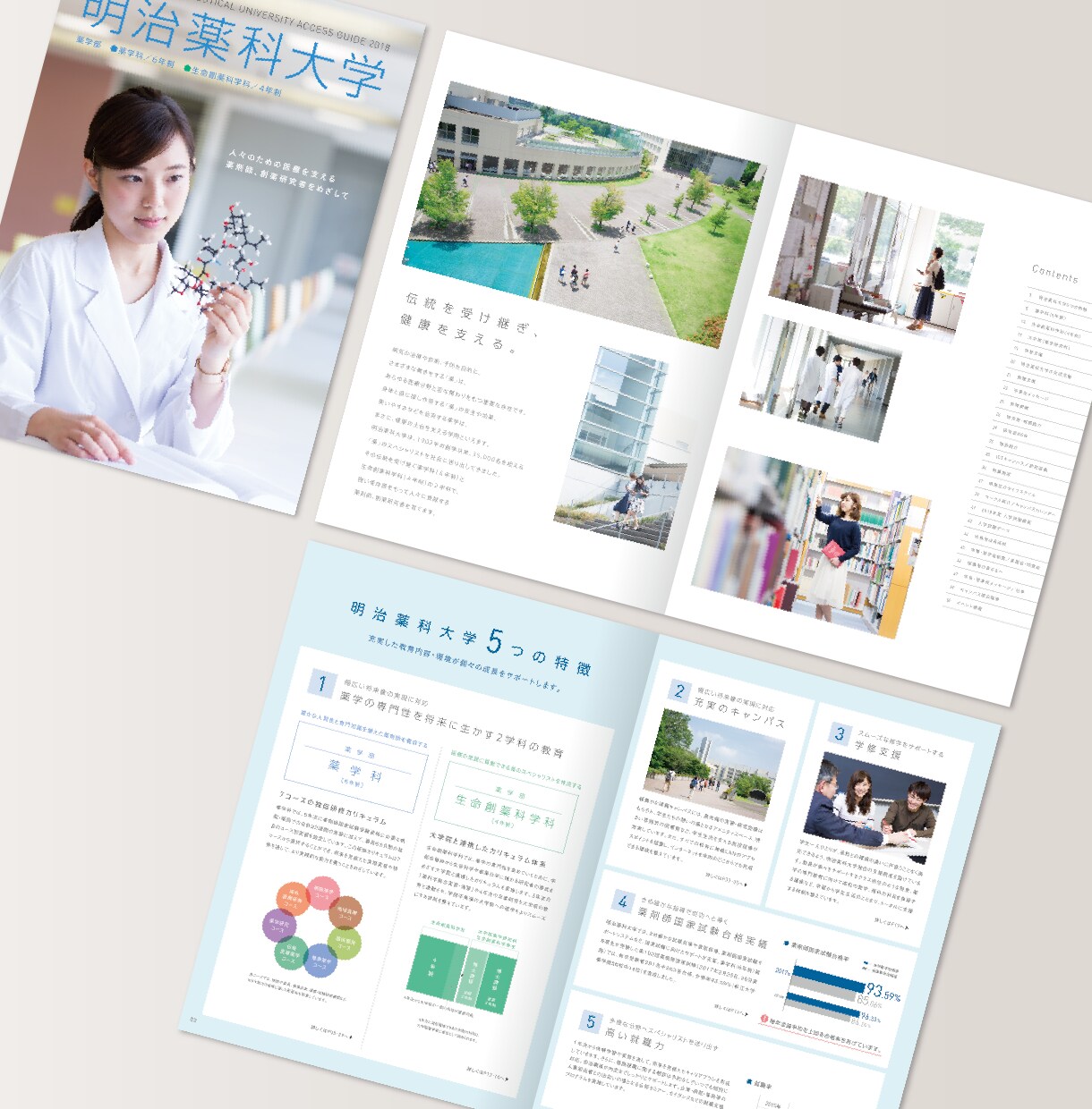 大企業の実績多数！高品質なパンフレット制作します デザインのみ依頼したい方へ　パンフレット・カタログ・会社案内 イメージ8