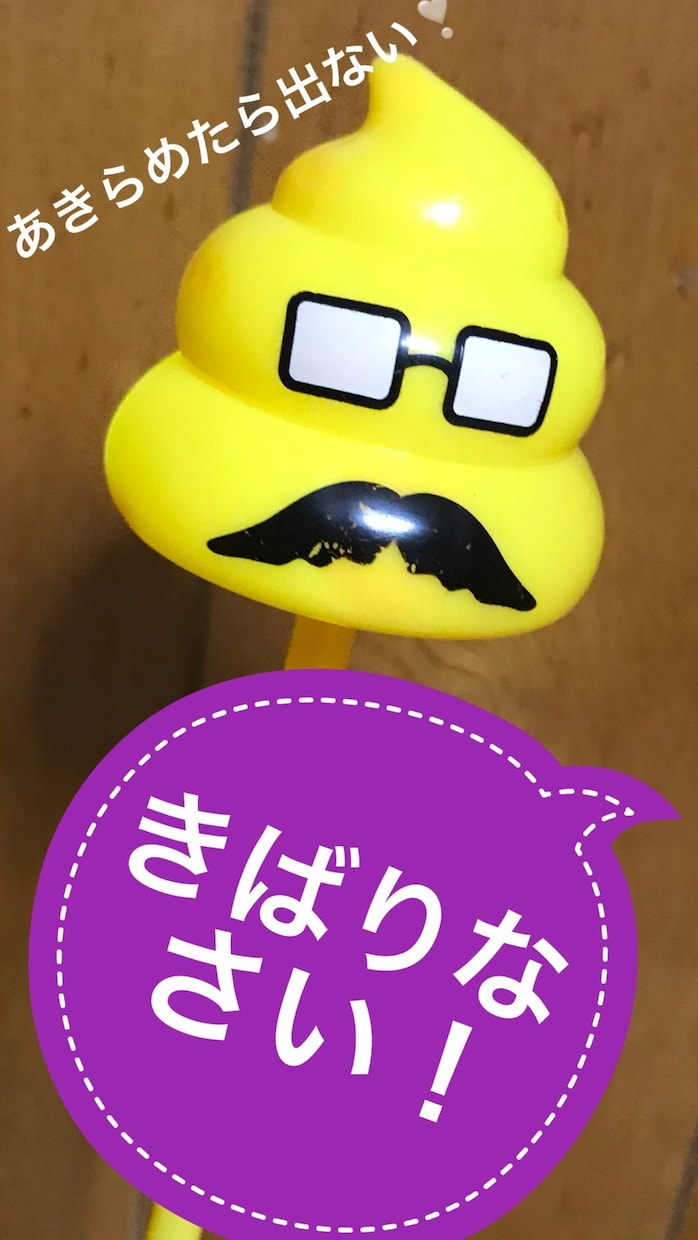 スルッと健康的なウンチが出ます 長時間トイレにこもって苦しまなくても大丈夫❣️もう安心 イメージ1