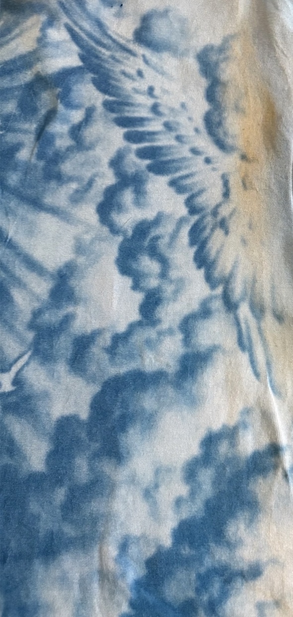 サイアノタイプで彩るオリジナルTシャツ制作します 晴れの日しか作れない！太陽での光で作る1点物Tシャツ作成 イメージ7