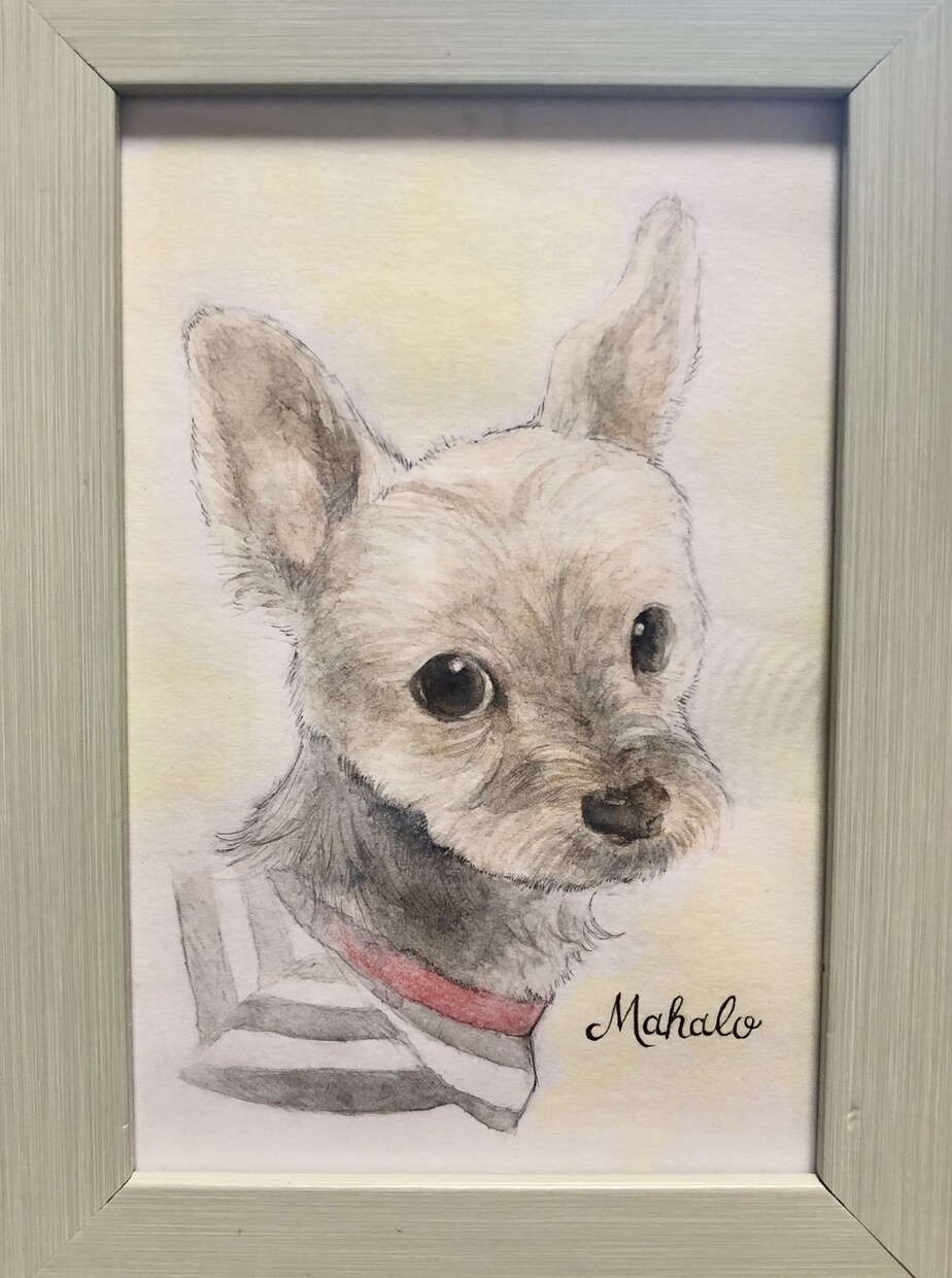 ワンちゃんの似顔絵を透明水彩画で描きます お部屋のインテリアにもなるお洒落な似顔絵 イメージ5