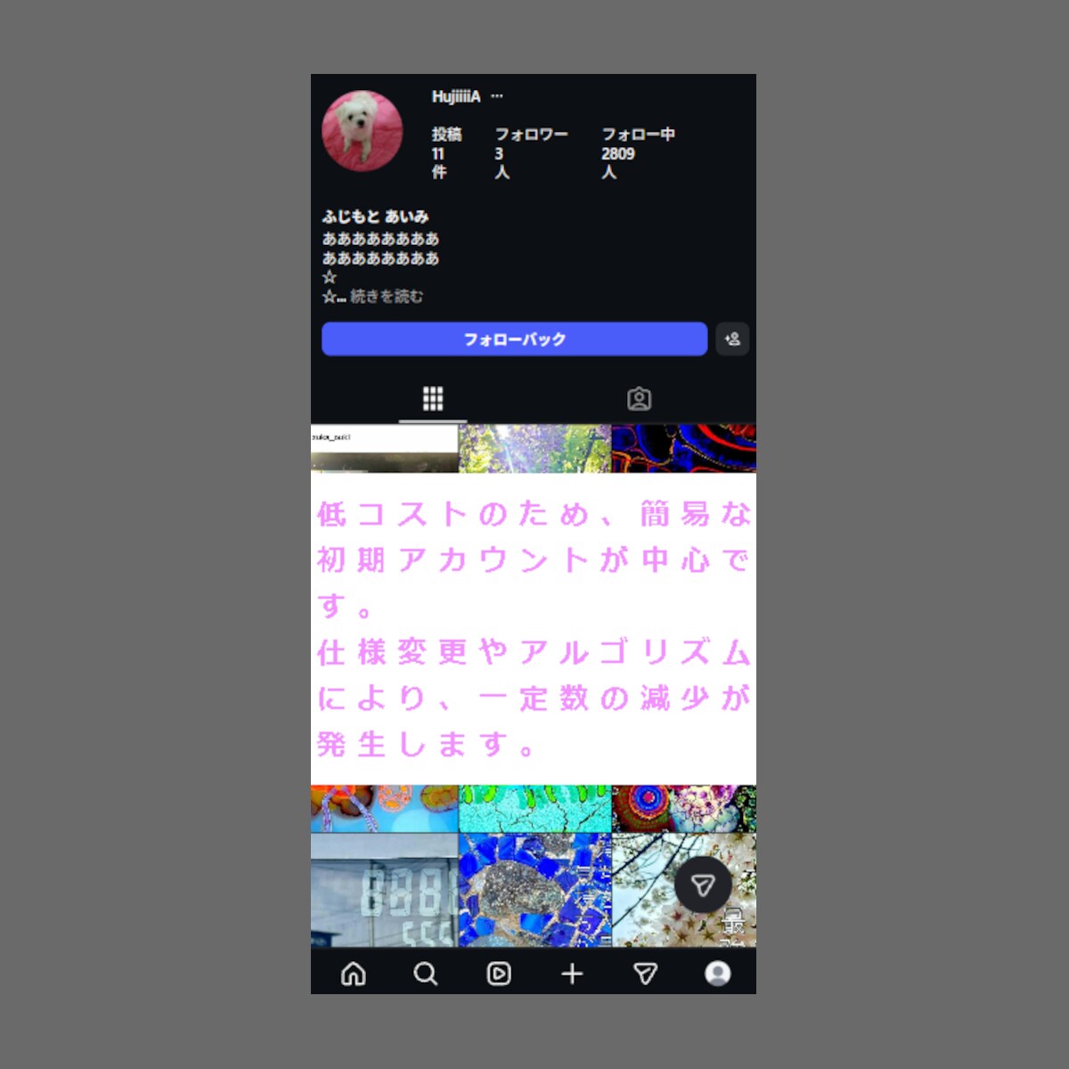 IG:日本人フォロワー獲得を支援します Instagram／即席型／見栄え重視 イメージ3
