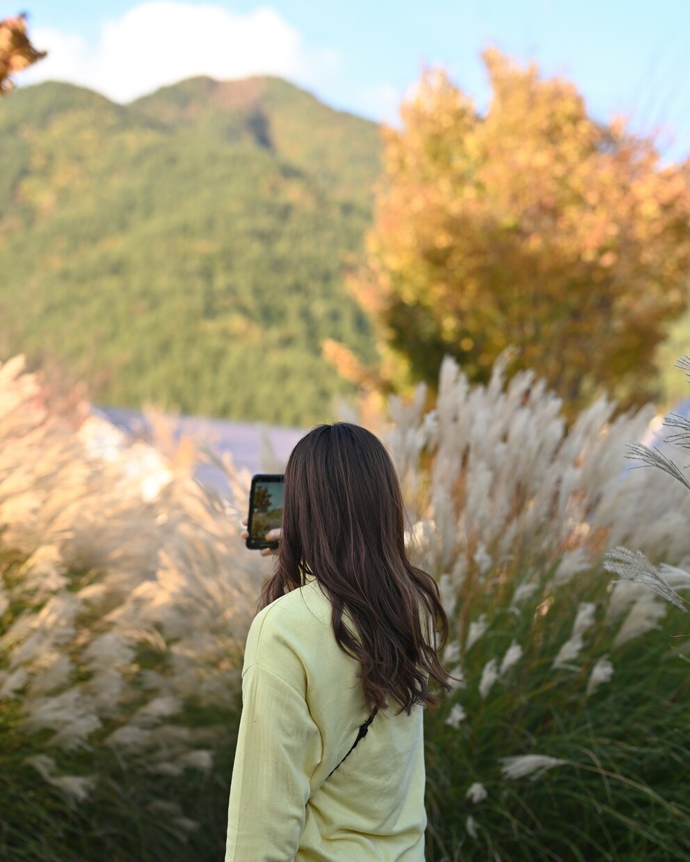90分間かわいい写真撮影します フォトグラファーが撮影♩(撮影、レタッチ、交通費込) イメージ3