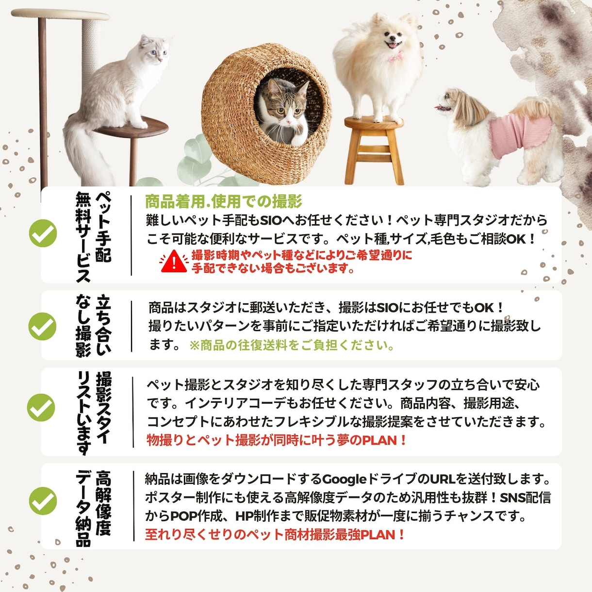 あらゆるペット用品の撮影を承ります ペット手配無料、カメラマン確保も全てついた夢のPLANです イメージ6