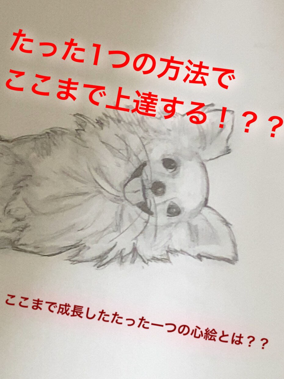 絵、相談など幅広く的確にアドバイスします サッカー歴12年、筋トレ歴3年の私を信じてみませんか？ イメージ1