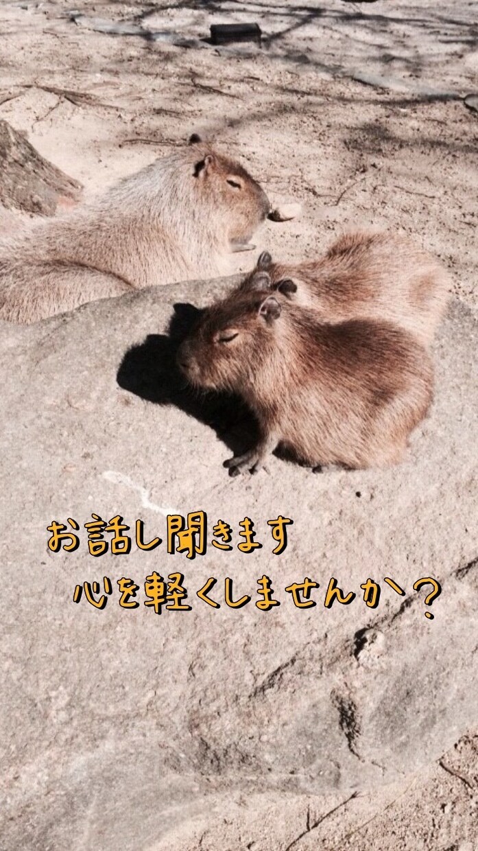 何でもお話しを聞きます 家族やカップルのように相談してみませんか？ イメージ1