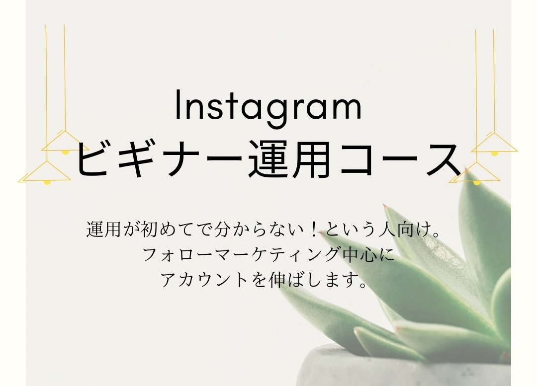 Instagramの運用承ります 初めての運用される方向けのコースです。 イメージ1