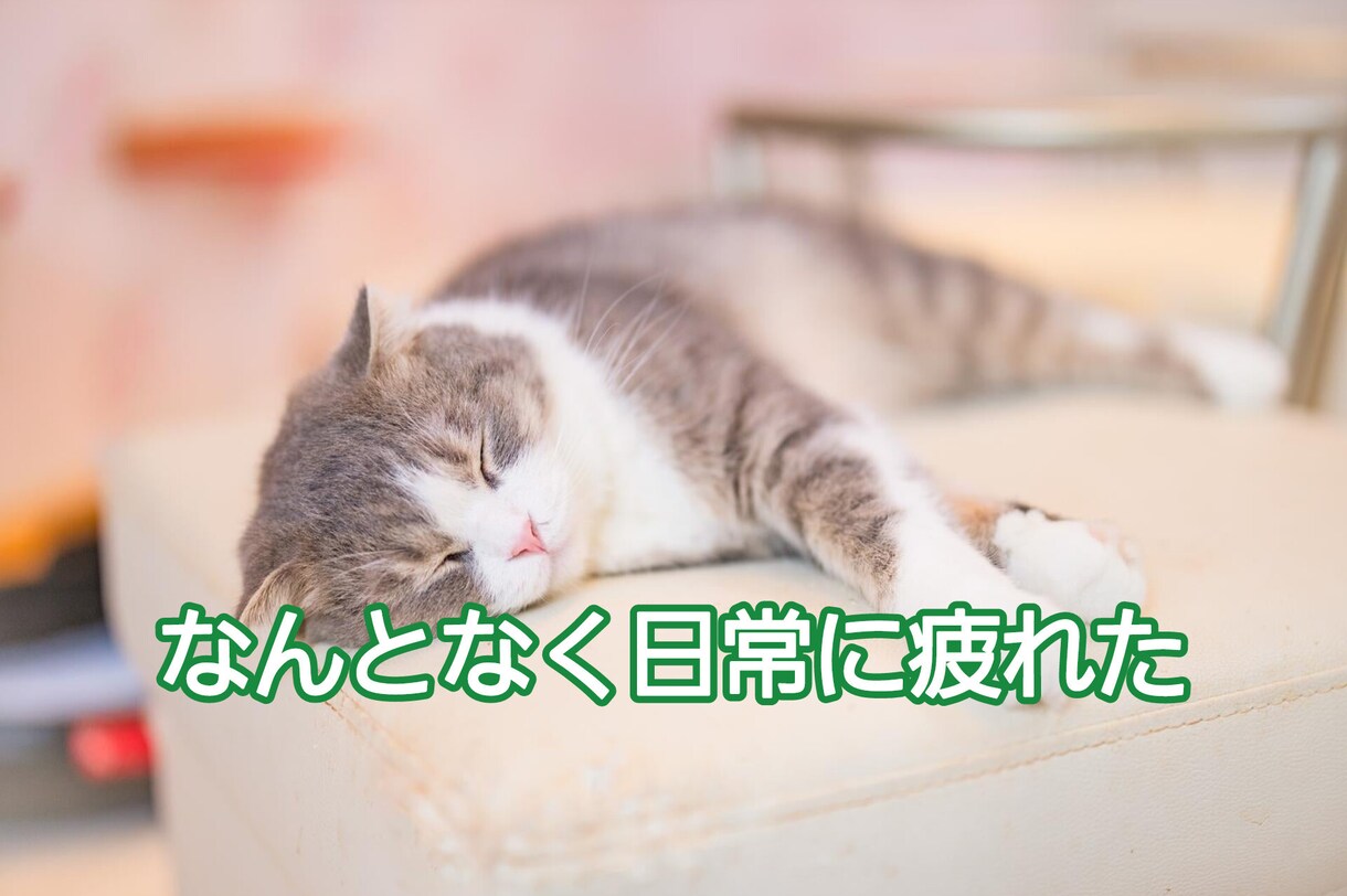 スナック嬢があなたの元気を最大にアゲます くだらない話し等会話を楽しみながら、自然と元気になれちゃう！ イメージ2