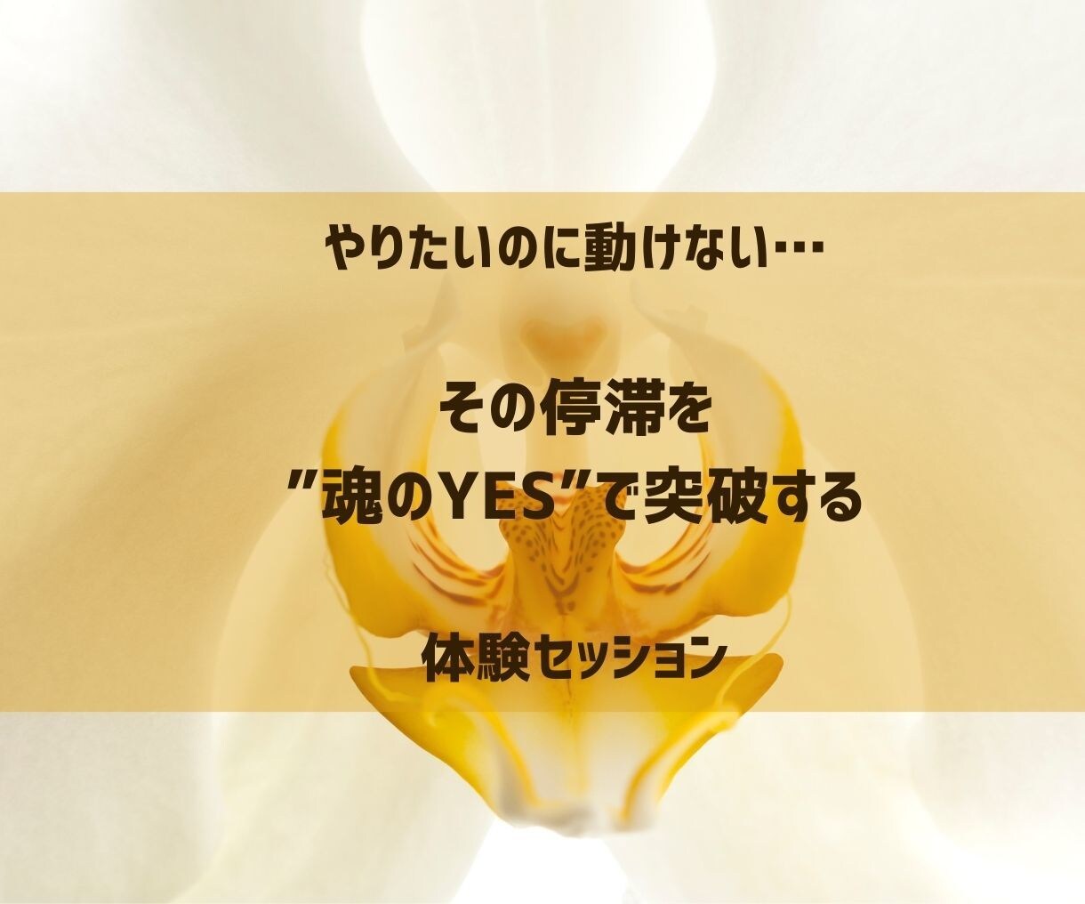 行動できない。その停滞を突破する体験セッションます あなたの”本当の心の奥に眠る声”を引き出してみませんか？ イメージ1