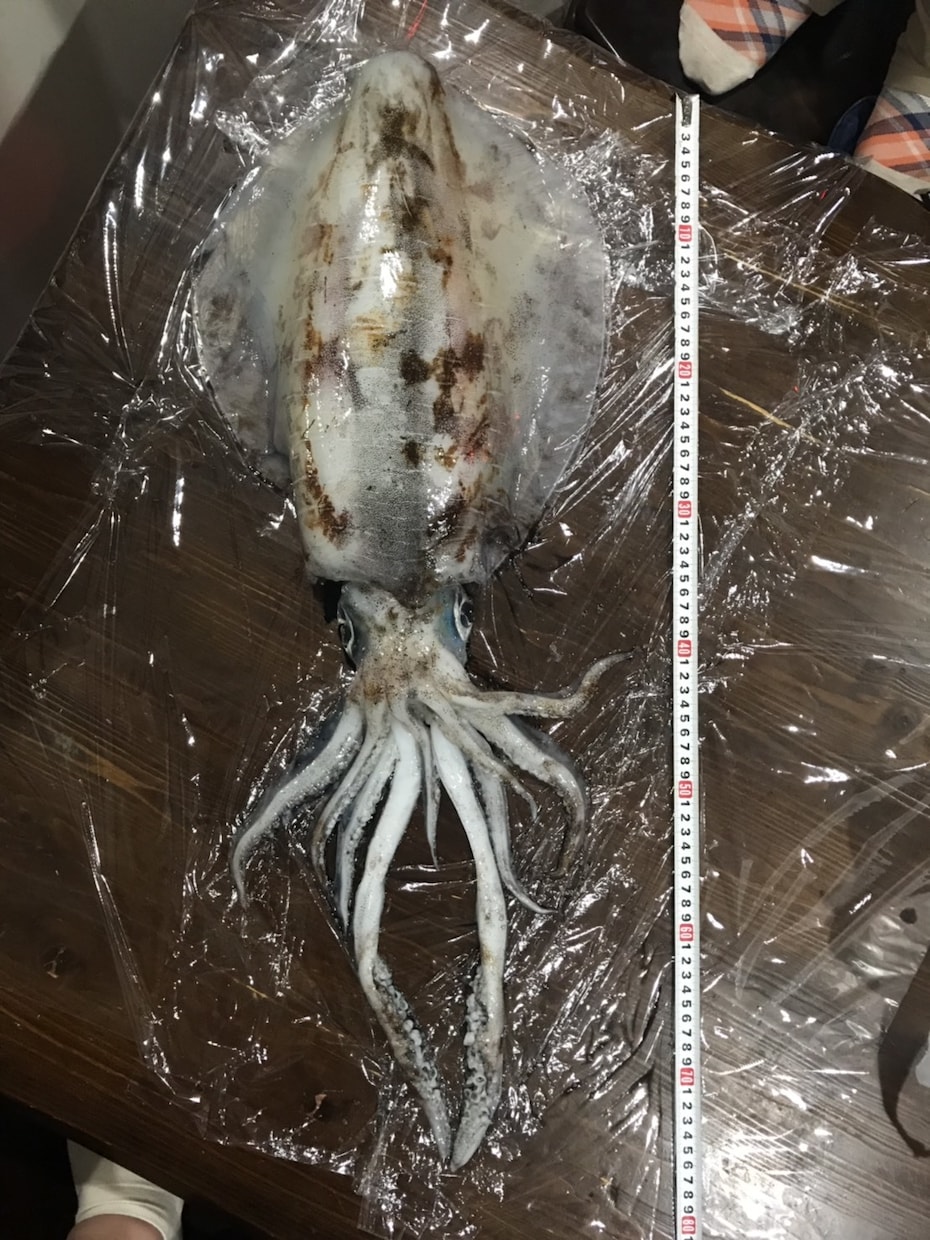 デジタル魚拓制作いたしますます 釣ったお魚の写真が魚拓風イラストに！ イメージ3