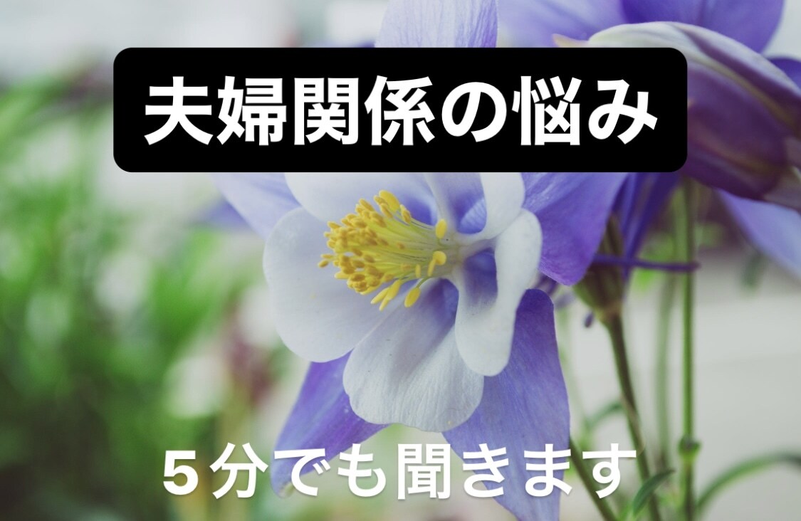 誰にも言えない夫婦関係の悩み✅　5分でも聞きます 不倫・浮気・セックスレス・モラハラ・借金　何でも相談乗ります イメージ3