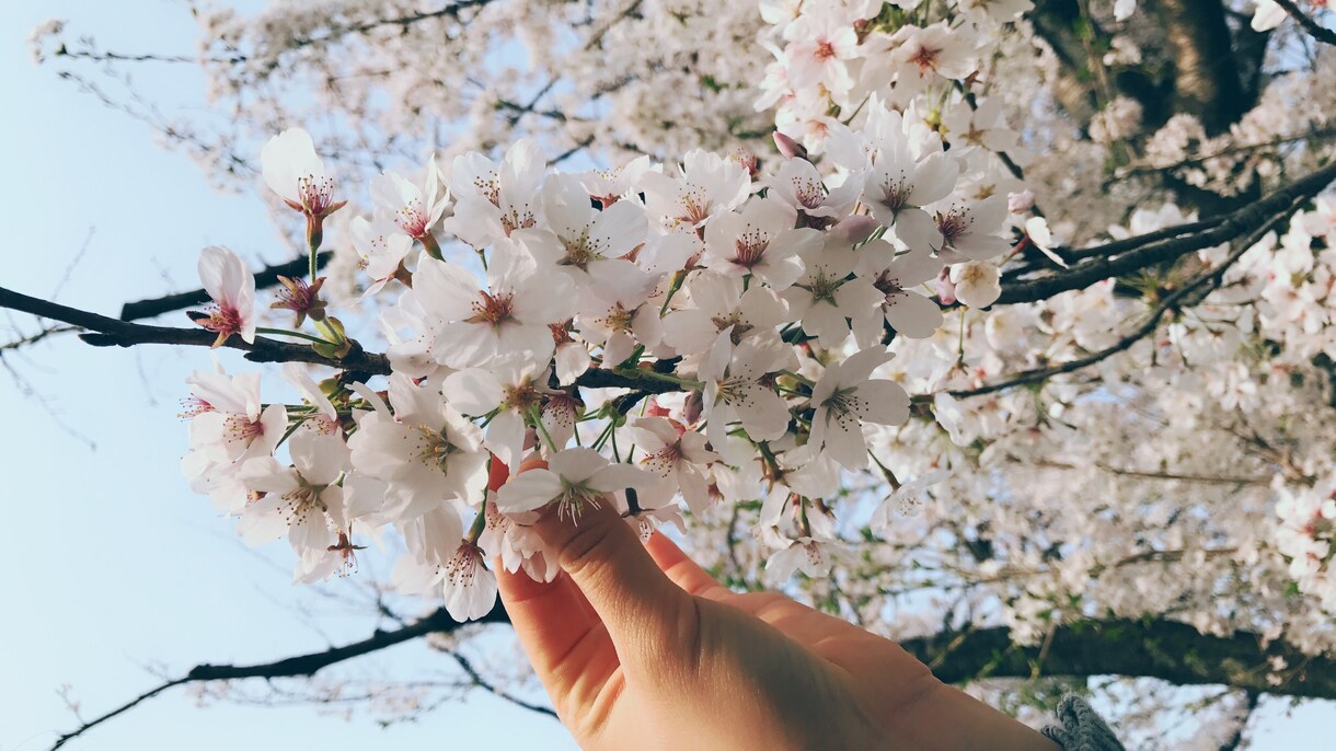 看護学生さんの実習サポートします 実習で困っていると、悩んでいることなんでも相談してください☆ イメージ1
