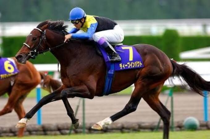競馬ファン必見！軸馬・穴馬教えちゃいます どんなレースでも任せて！是非参考にしてみてください！ イメージ3